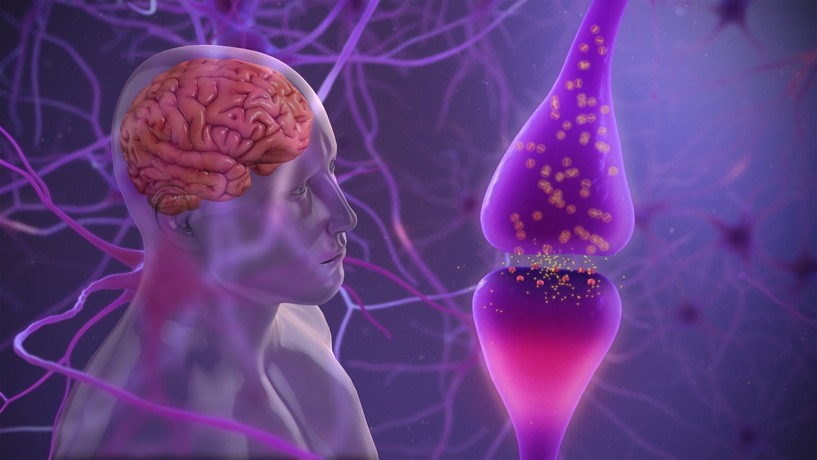 Autoimmune Neurological Conditions